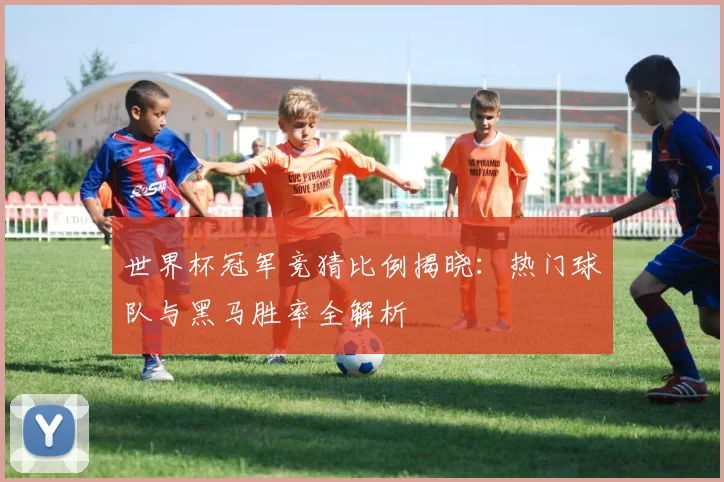 世界杯冠军竞猜比例揭晓：热门球队与黑马胜率全解析