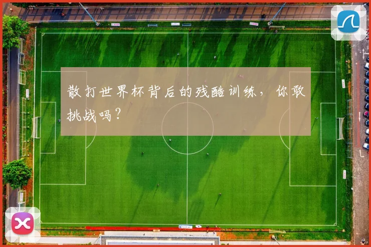 散打世界杯背后的残酷训练，你敢挑战吗？