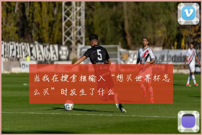 当我在搜索框输入“想买世界杯怎么买”时发生了什么